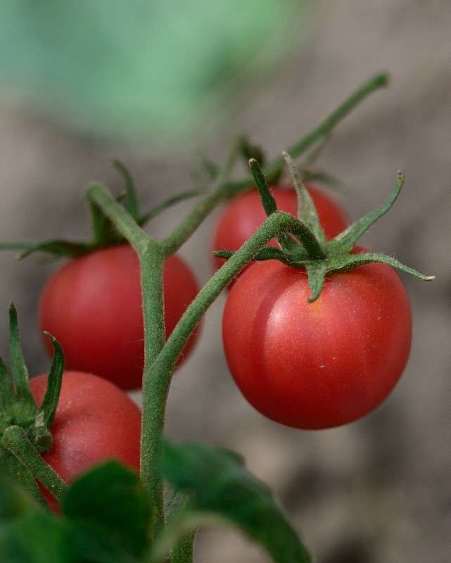 �������� ���������� ����� S  �� PhotoGeek.ru #������ ��� �������