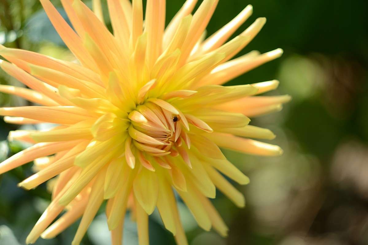 ... ����� S  �� PhotoGeek.ru #������ ��� ������� #����� ��������������