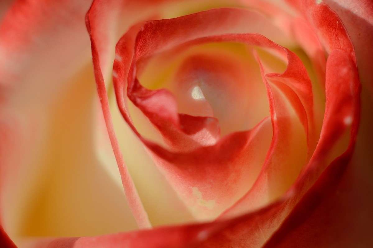 �������� ����� S  �� PhotoGeek.ru #�����