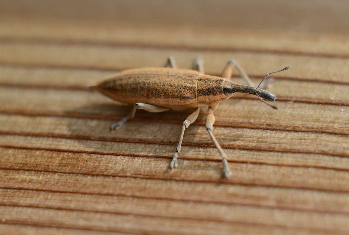 )) ����� S  �� PhotoGeek.ru #����� #�������� ���