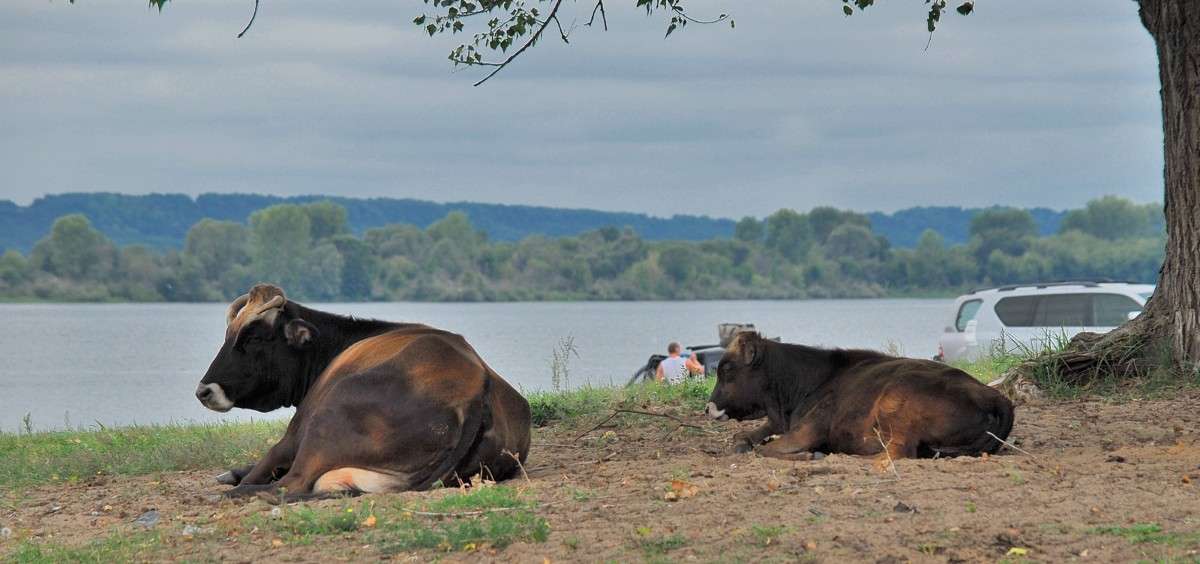 ���� � ���������.... ����� S  �� PhotoGeek.ru #�������� ��� #��������