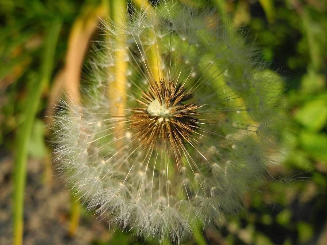 ������� ����... ����� S  �� PhotoGeek.ru #������ ��� �������