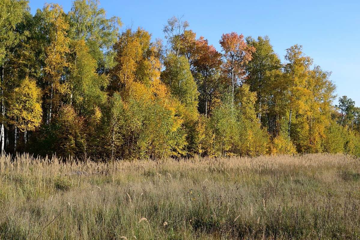 ������� ����� S  �� PhotoGeek.ru #������ ��� �������