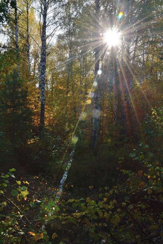 � ���, ���� ������? ����� S  �� PhotoGeek.ru #������ ��� �������