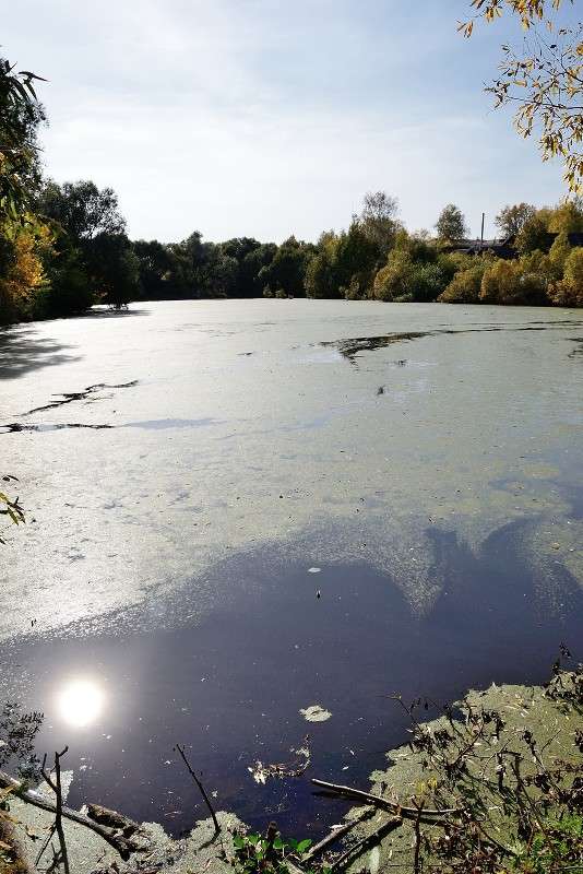 Sun upside down :) ����� S  �� PhotoGeek.ru #������ ��� �������