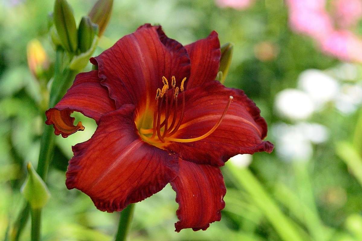 ... ����� S  �� PhotoGeek.ru #������ ��� �������