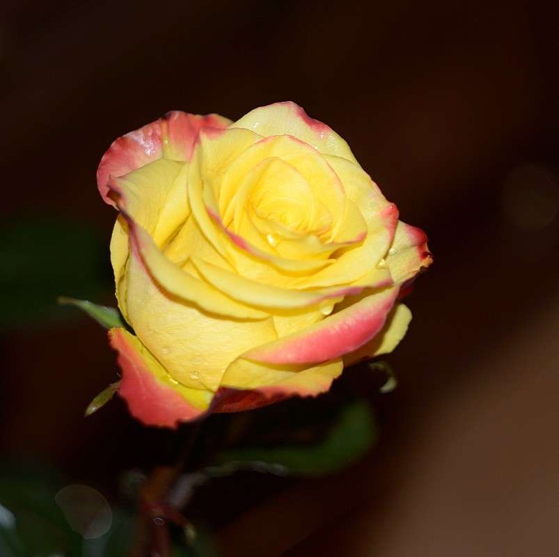 ... ����� S  �� PhotoGeek.ru #������ ��� ������� #����� ��������������