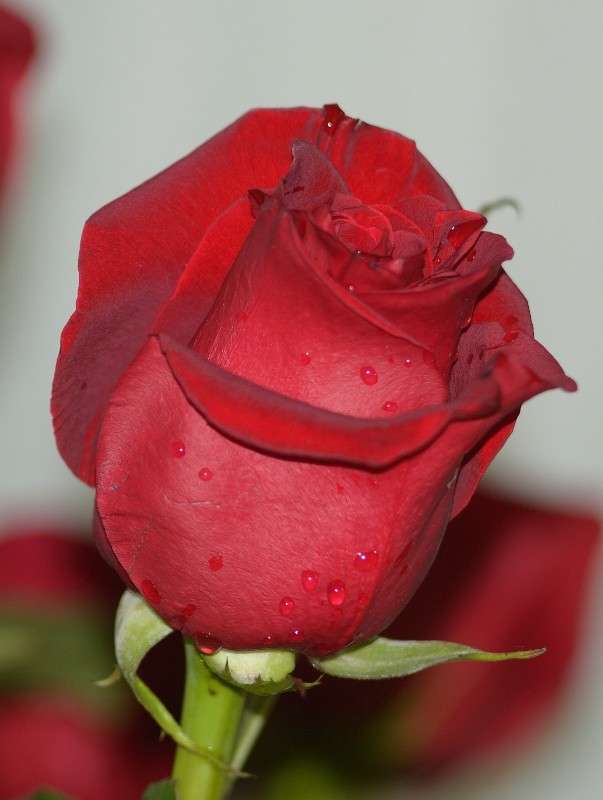 ... ����� S  �� PhotoGeek.ru #������ ��� ������� #����� ��������������