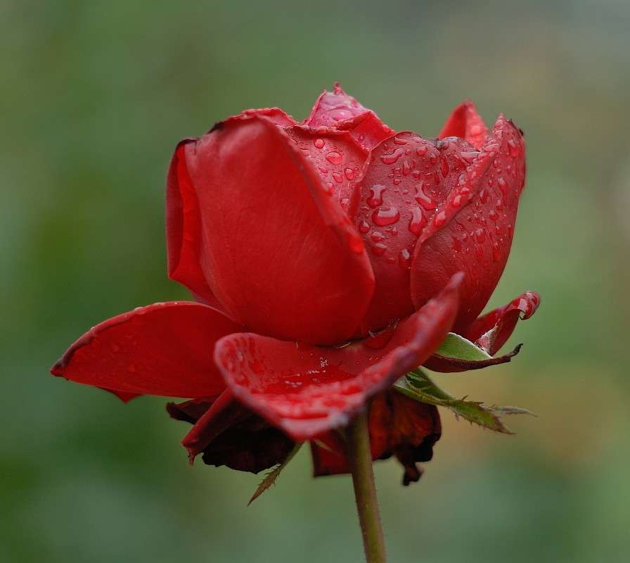 ������� ���� ����� S  �� PhotoGeek.ru #������ ��� ������� #����� ��������������