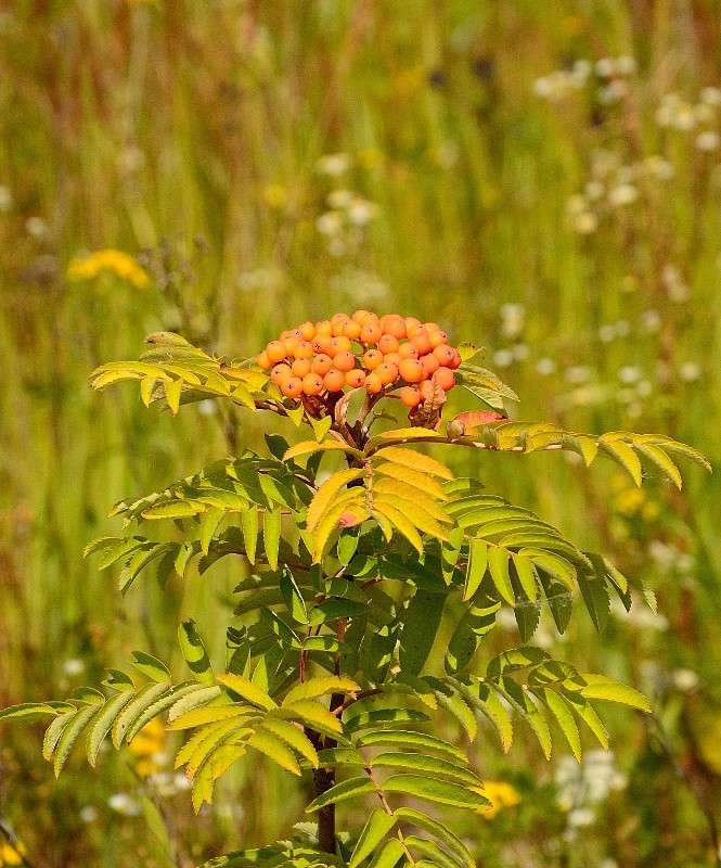 ... ����� S  �� PhotoGeek.ru #������ ��� �������