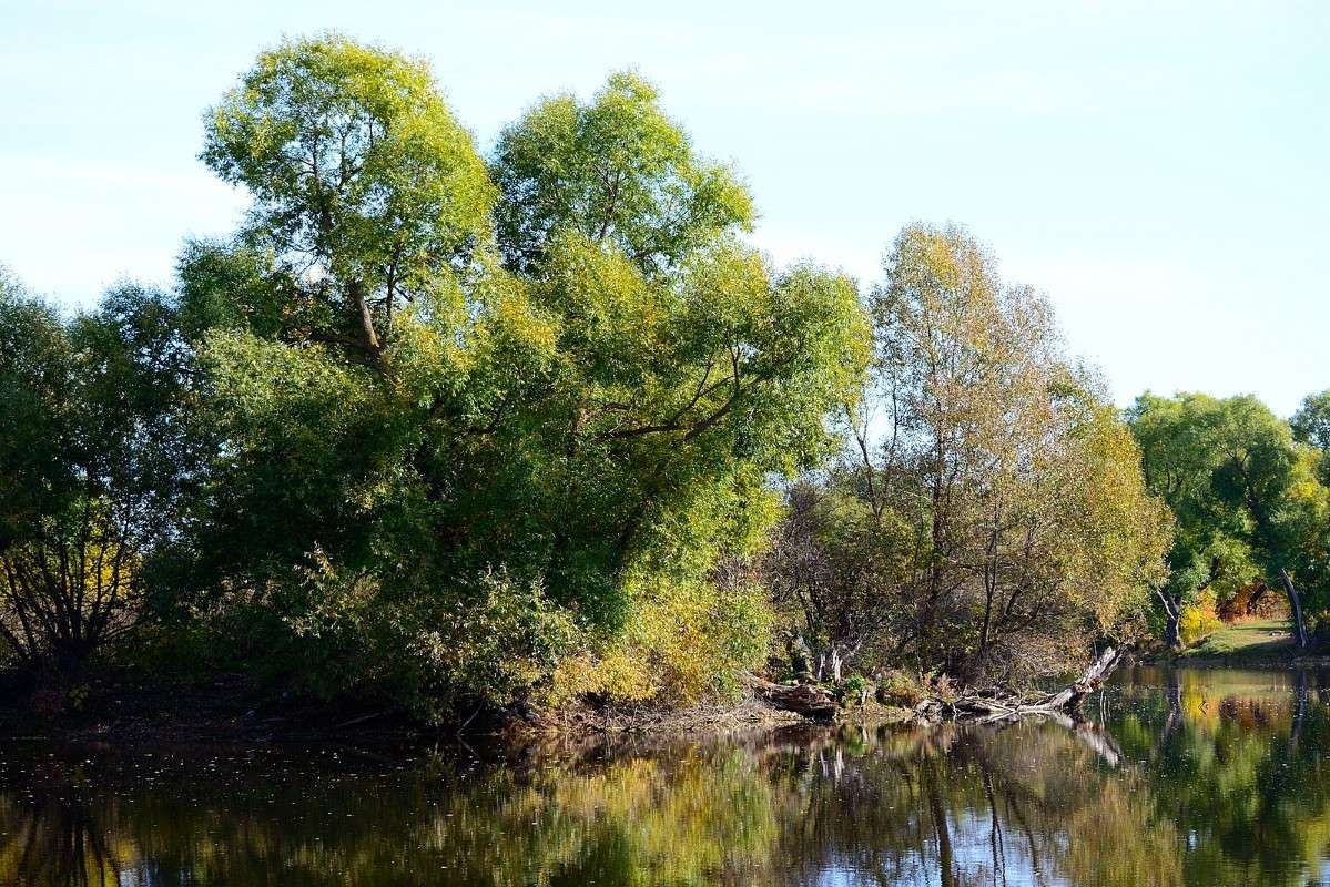 ��� �����... ����� S  �� PhotoGeek.ru #������ ��� �������