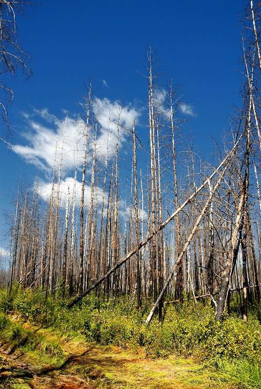 ... ����� S  �� PhotoGeek.ru #������ ��� �������