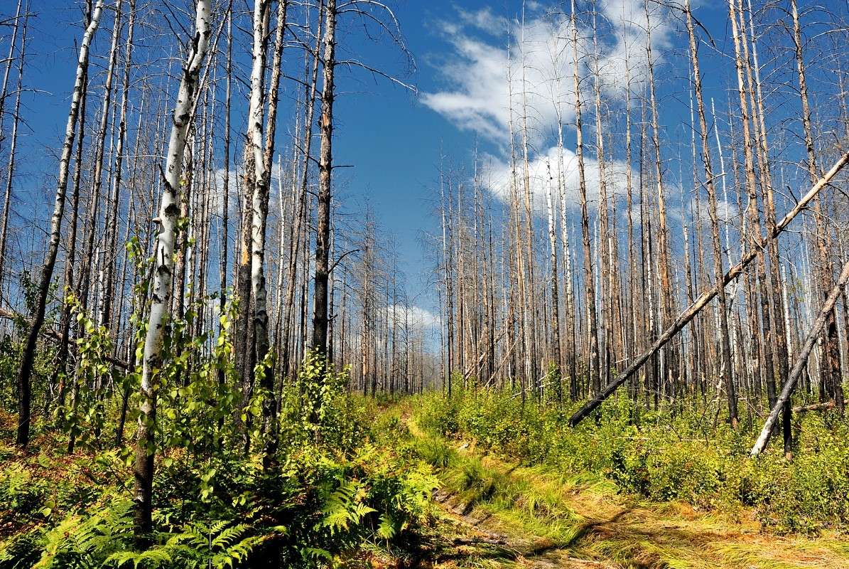 ... ����� S  �� PhotoGeek.ru #������ ��� �������