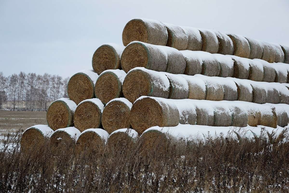 ... ����� S  �� PhotoGeek.ru #��������