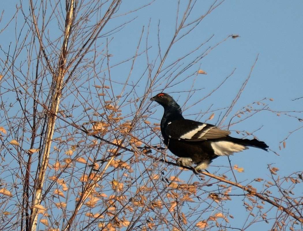 ... ����� S  �� PhotoGeek.ru #�������� ���