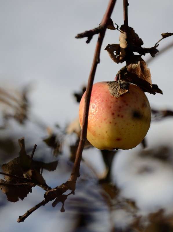 �����������... ����� S  �� PhotoGeek.ru #��������