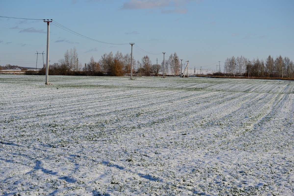 ������ ������ :) ����� S  �� PhotoGeek.ru #������ ��� �������