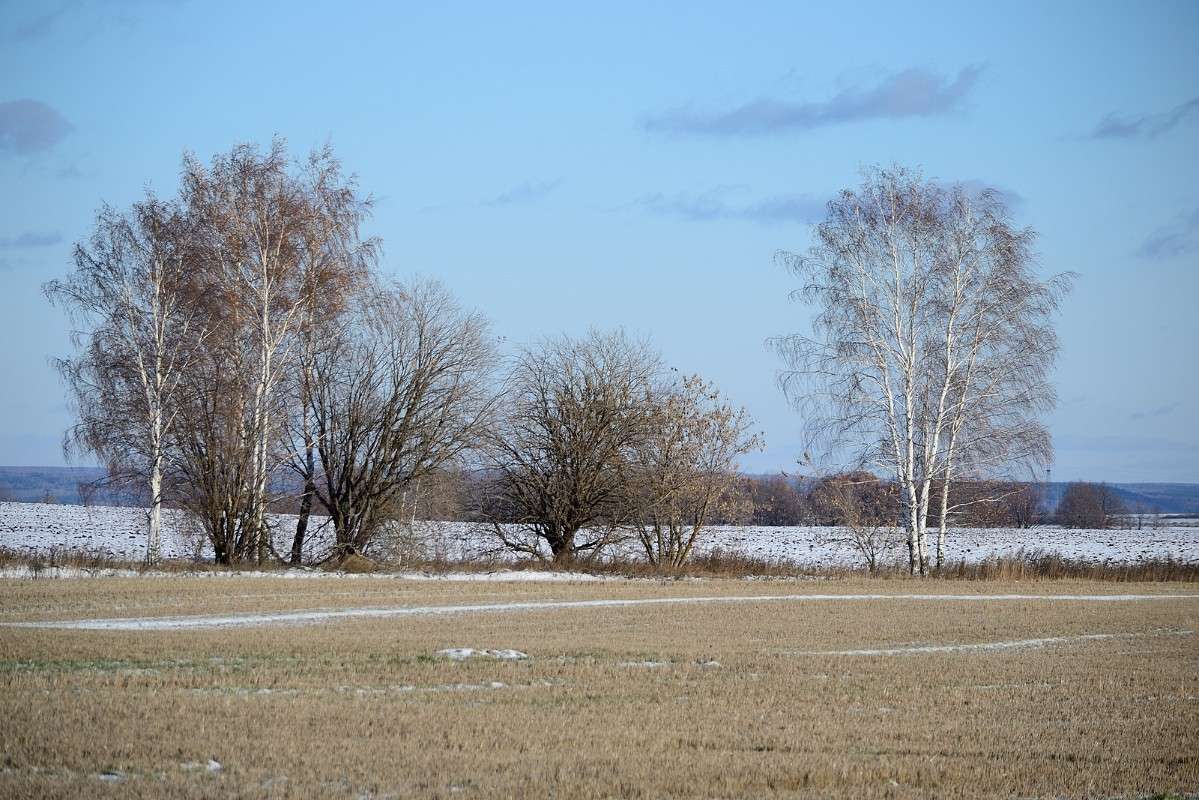 ... ����� S  �� PhotoGeek.ru #������ ��� �������