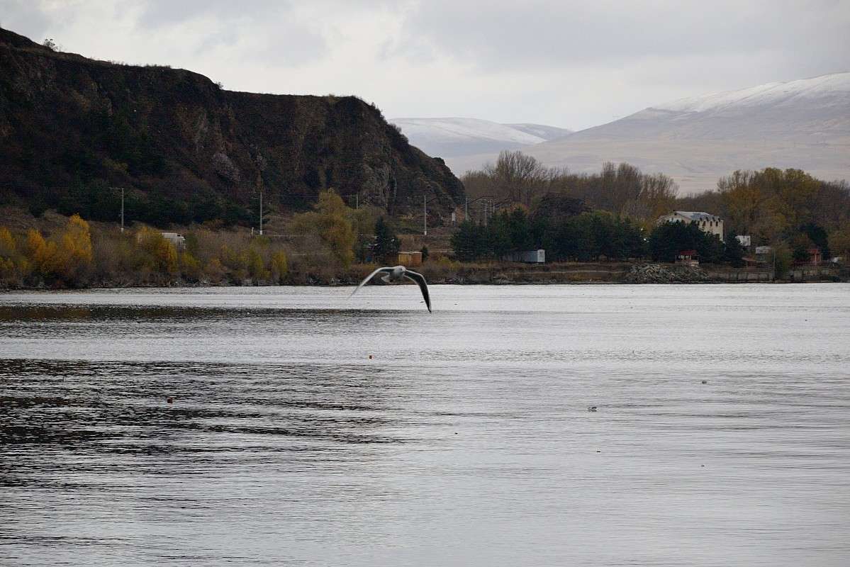 ����� ����� ����� S  �� PhotoGeek.ru #������ ��� �������