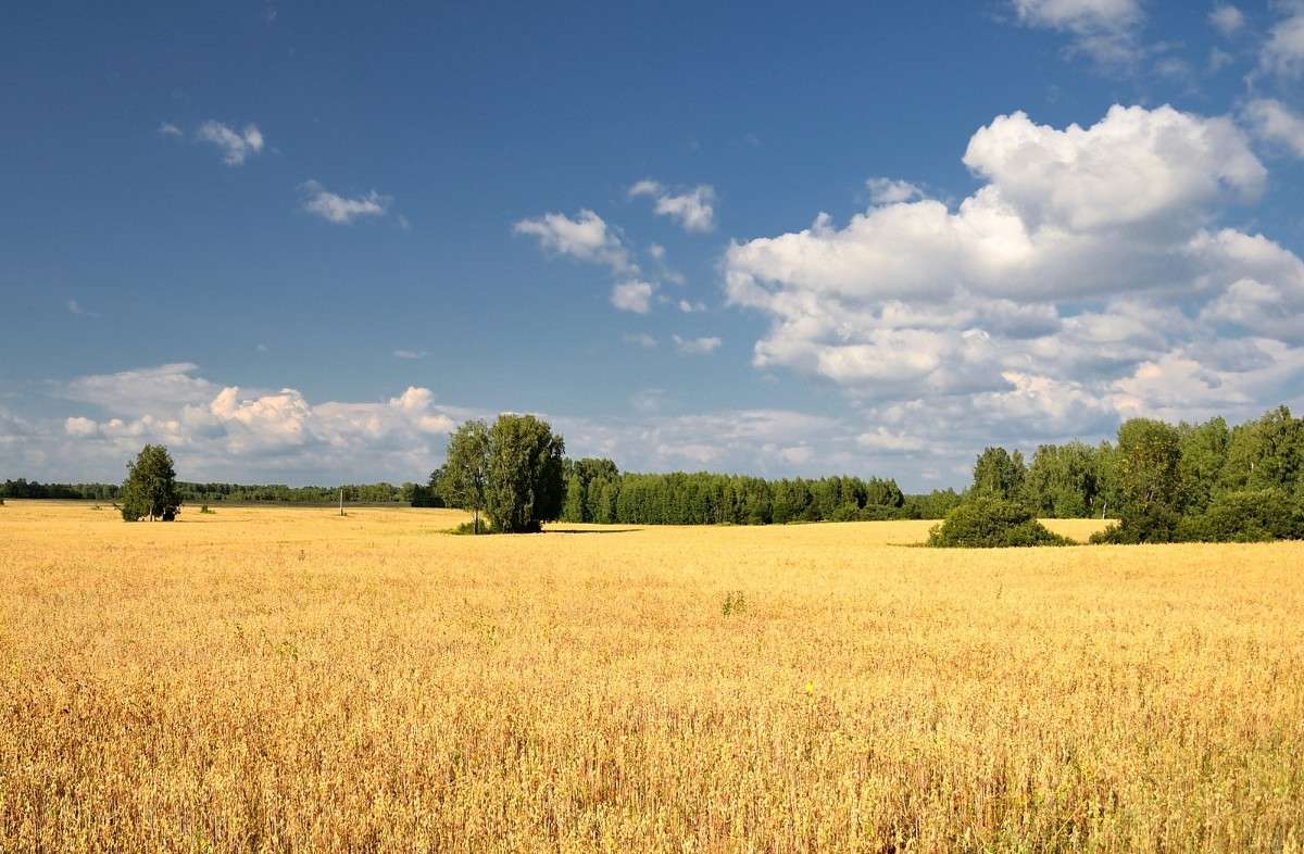 ������������ ����� S  �� PhotoGeek.ru #������ ��� �������