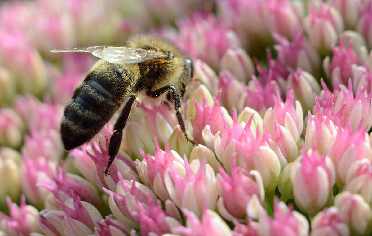 )) ����� S  �� PhotoGeek.ru #�������� ���