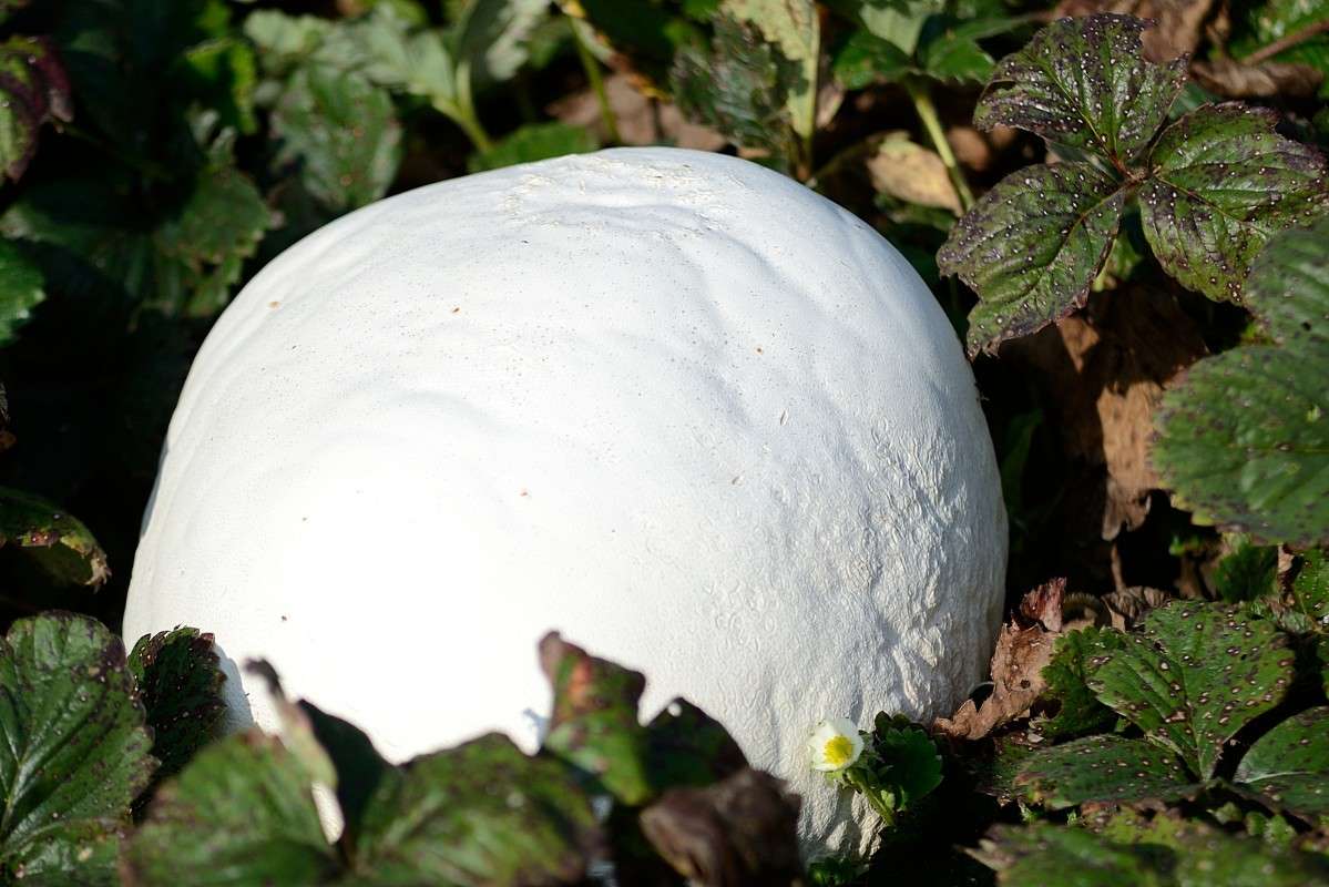 �������� :) ����� S  �� PhotoGeek.ru #������ ��� ������� #����� ��������������