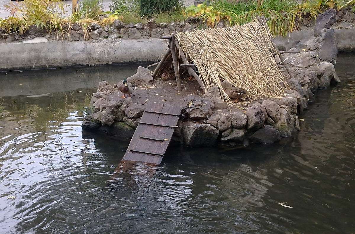 ����� ��� ����� S  �� PhotoGeek.ru #�������� ��� #������ ��� �������