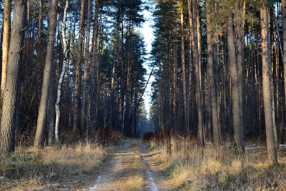 ... ����� S  �� PhotoGeek.ru #������ ��� �������