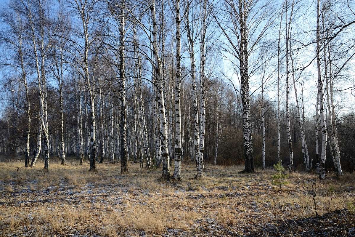 ... ����� S  �� PhotoGeek.ru #������ ��� �������