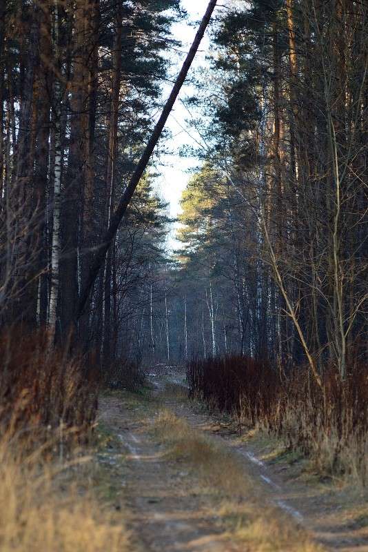 ... ����� S  �� PhotoGeek.ru #������ ��� �������