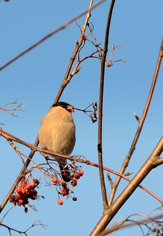 )) ����� S  �� PhotoGeek.ru #�������� ���