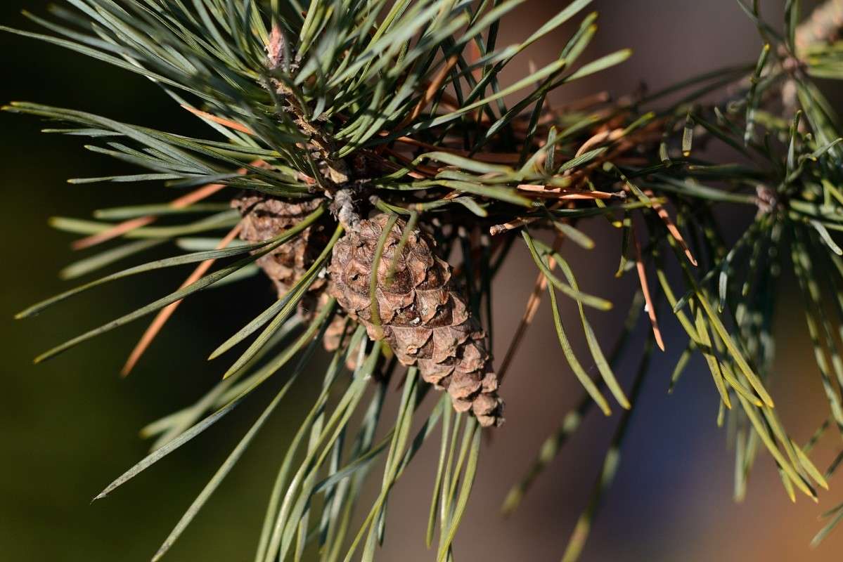 ( ����� S  �� PhotoGeek.ru #������ ��� �������