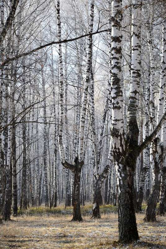 ... ����� S  �� PhotoGeek.ru #������ ��� �������