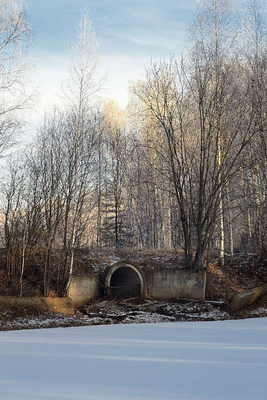 �����������... ����� S  �� PhotoGeek.ru #������ ��� �������