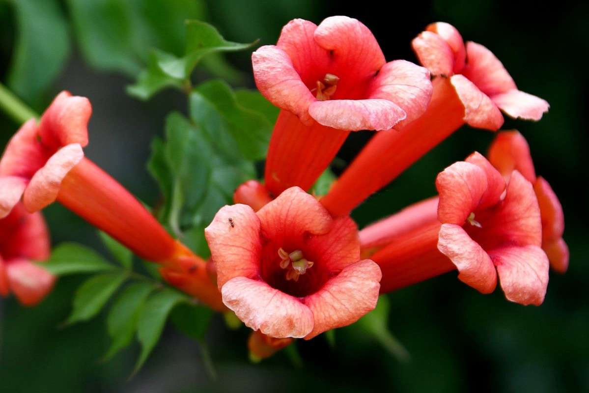 ... ����� �������  �� PhotoGeek.ru #������ ��� ������� #����� ��������������