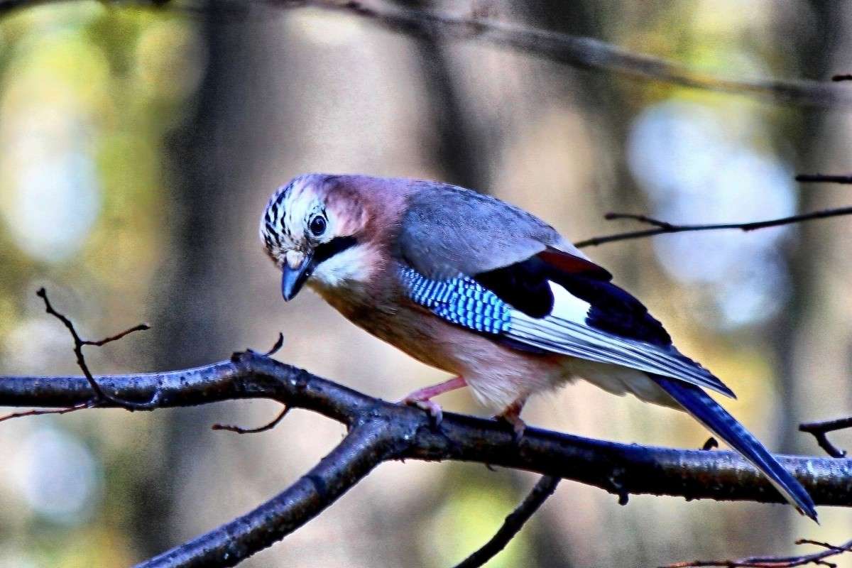 ... ����� �������  �� PhotoGeek.ru #�������� ��� #������ ��� ������� #����� ��� ��� ���������