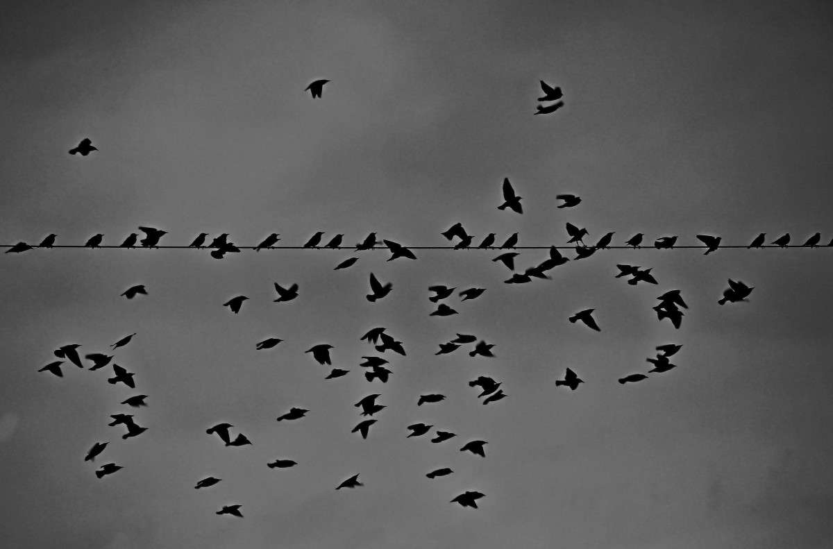 ������� ���������... ����� �������  �� PhotoGeek.ru #�������� ��� #������ ��� �������