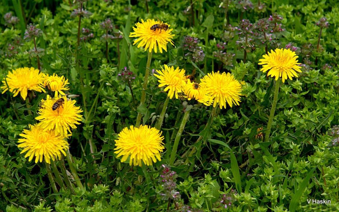 ... ����� �������  �� PhotoGeek.ru #������ ��� �������