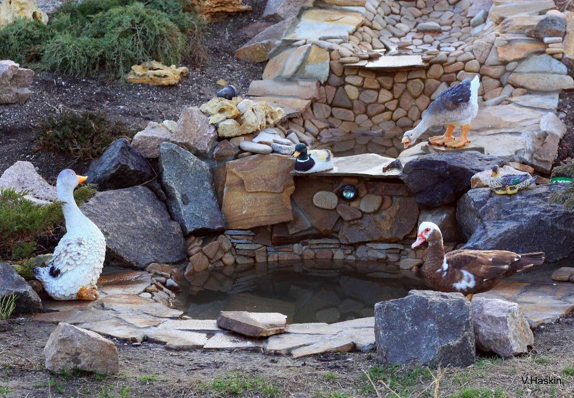 �������� ������ ����������� ����� �������  �� PhotoGeek.ru #�������� ����������