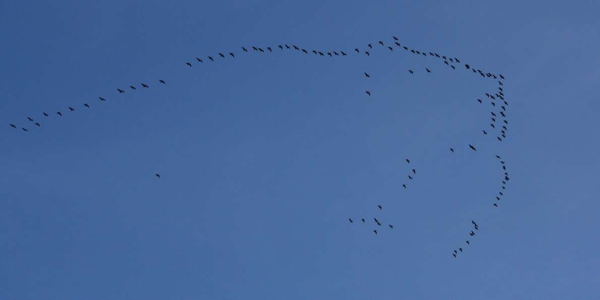 �� �� ����� �������  �� PhotoGeek.ru #�������� ���