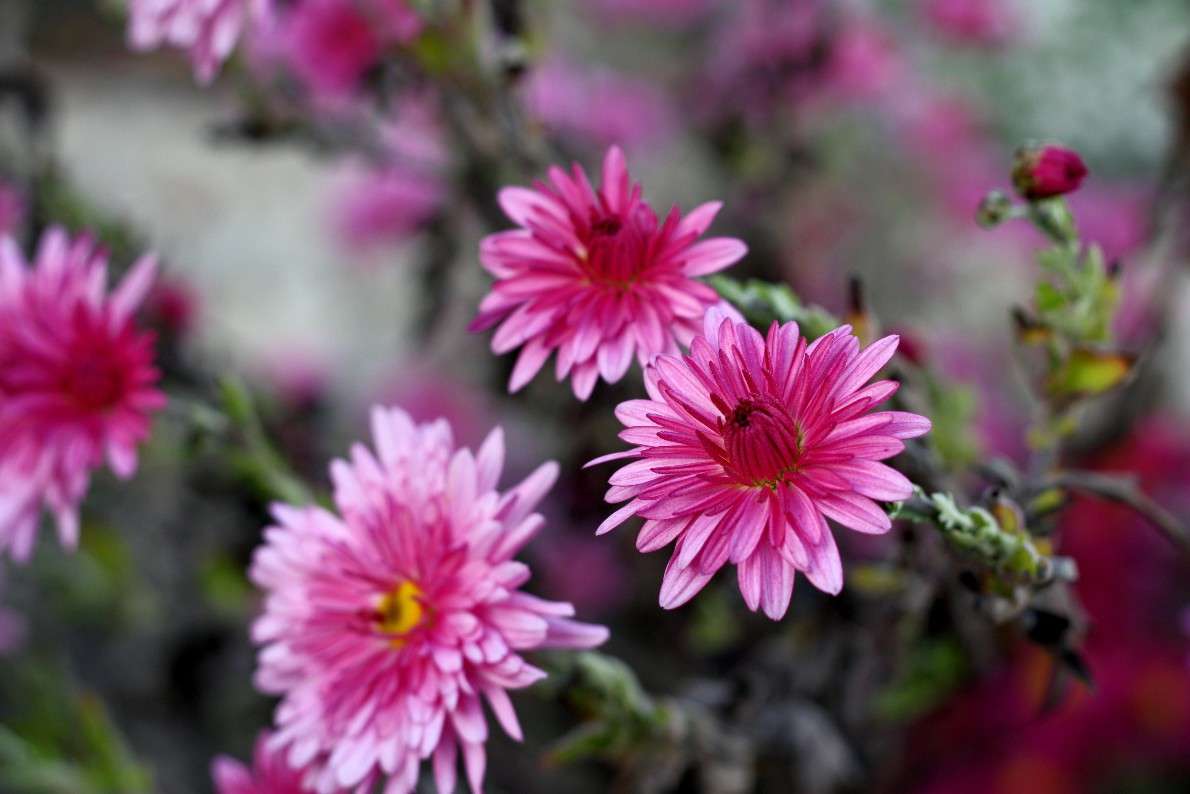 ... ����� �������  �� PhotoGeek.ru #������ ��� �������