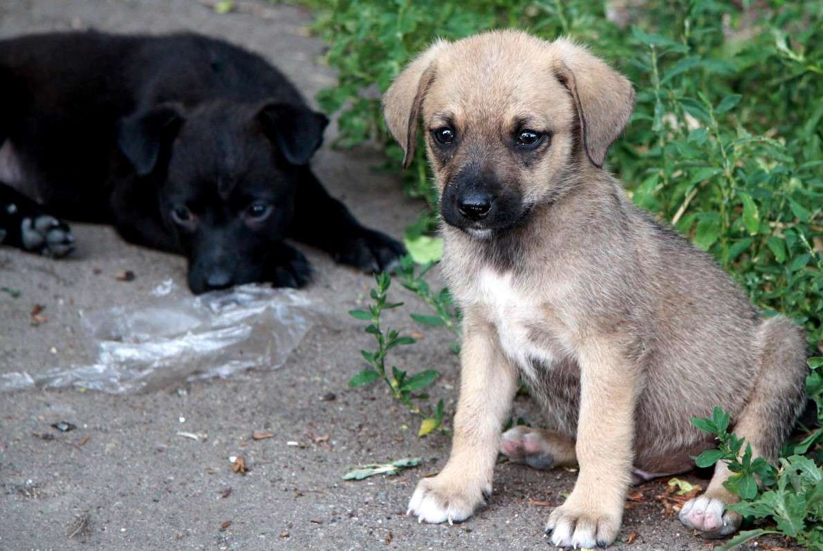 ������������� ����� �������  �� PhotoGeek.ru #�������� ���