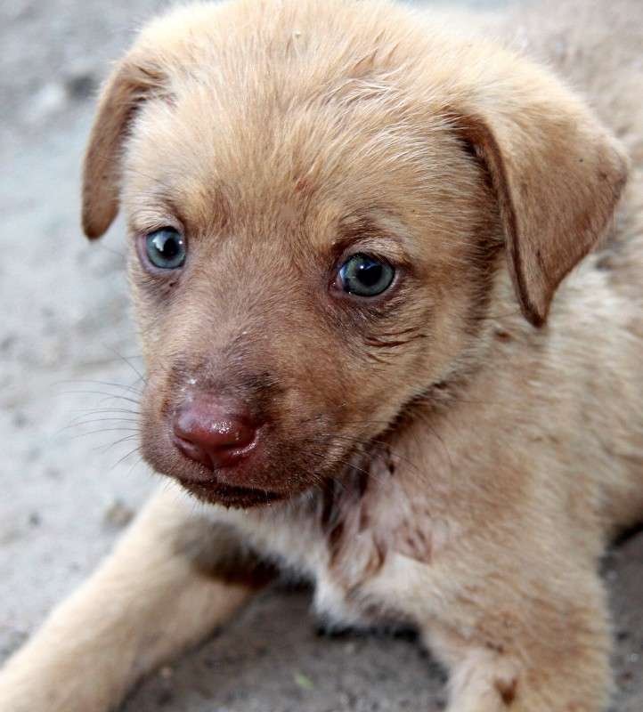 ������ ����� �������  �� PhotoGeek.ru #�������� ���