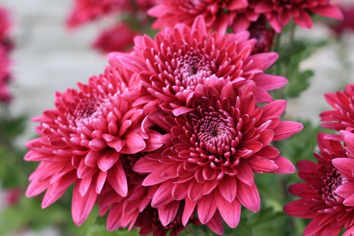 ... ����� �������  �� PhotoGeek.ru #������ ��� �������