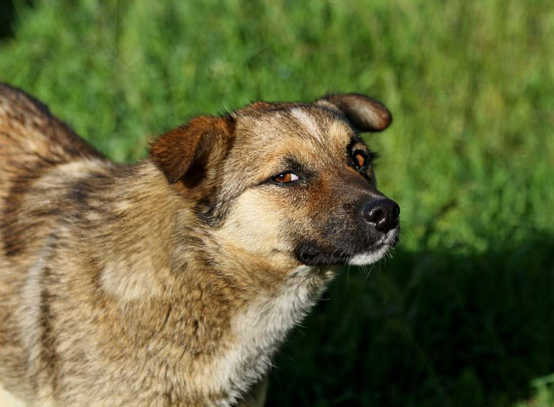 �� ����.... ����� �������  �� PhotoGeek.ru #�������� ��� #������ ��� �������