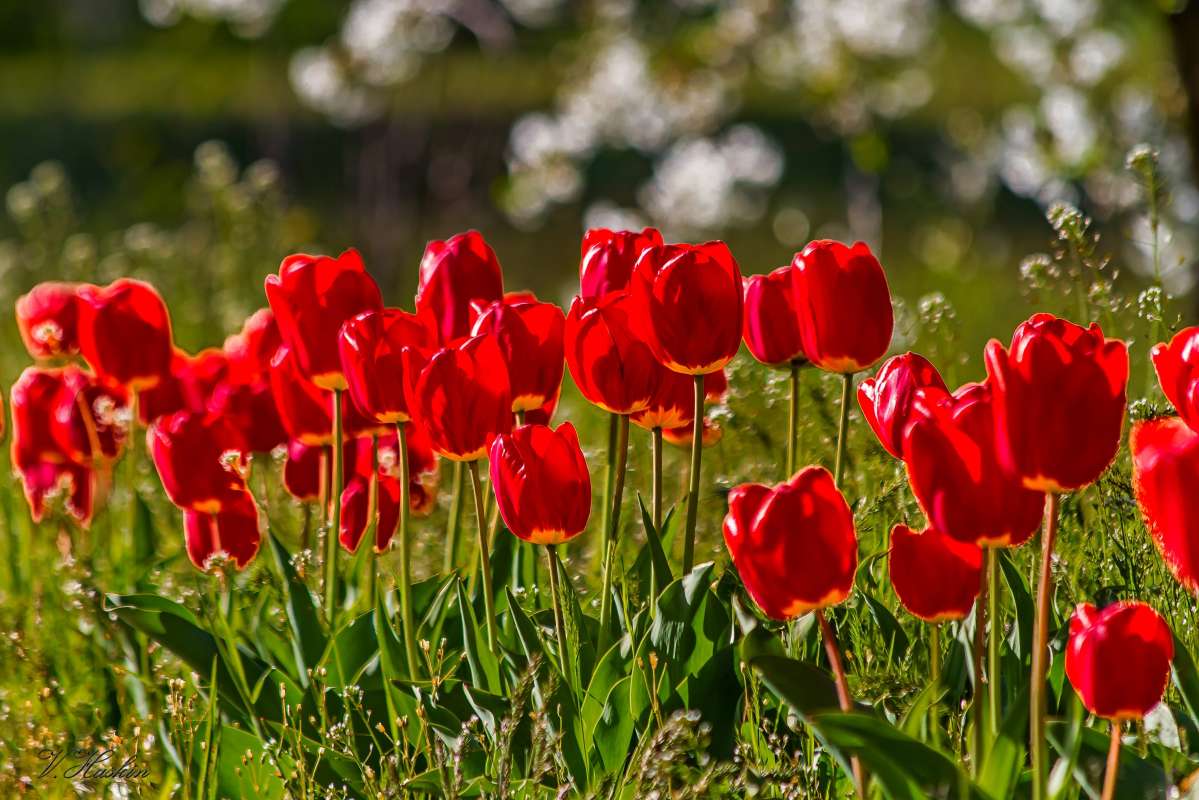 ... ����� �������  �� PhotoGeek.ru #������ ��� �������