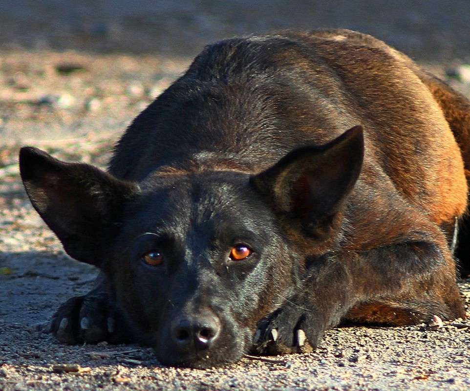 ���������� ����� �������  �� PhotoGeek.ru #�������� ���