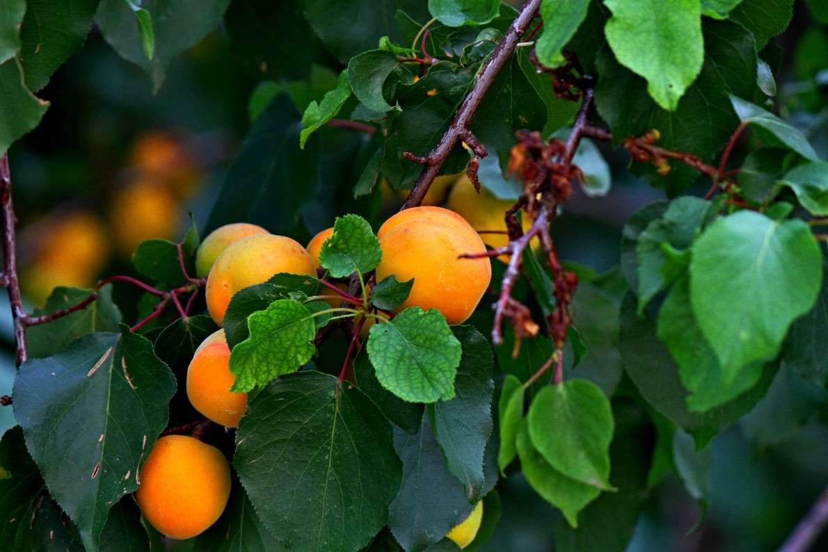 � �����...... ����� �������  �� PhotoGeek.ru #������ ��� �������