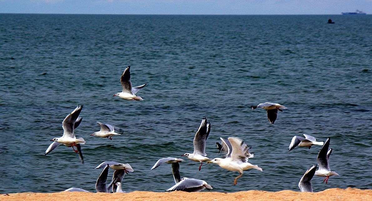 ����� ����� �������  �� PhotoGeek.ru #�������� ���