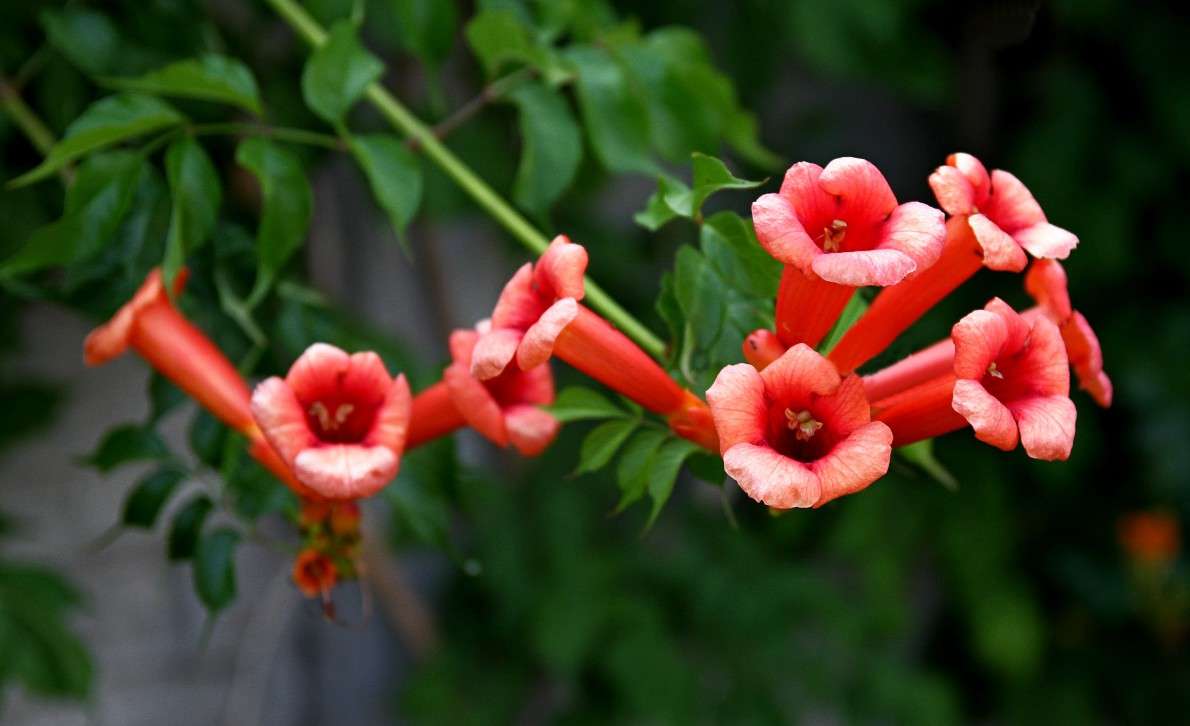 ... ����� �������  �� PhotoGeek.ru #������ ��� �������